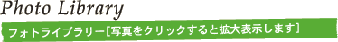 �t�H�g���C�u�����[