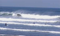 海水浴・マリンスポーツ